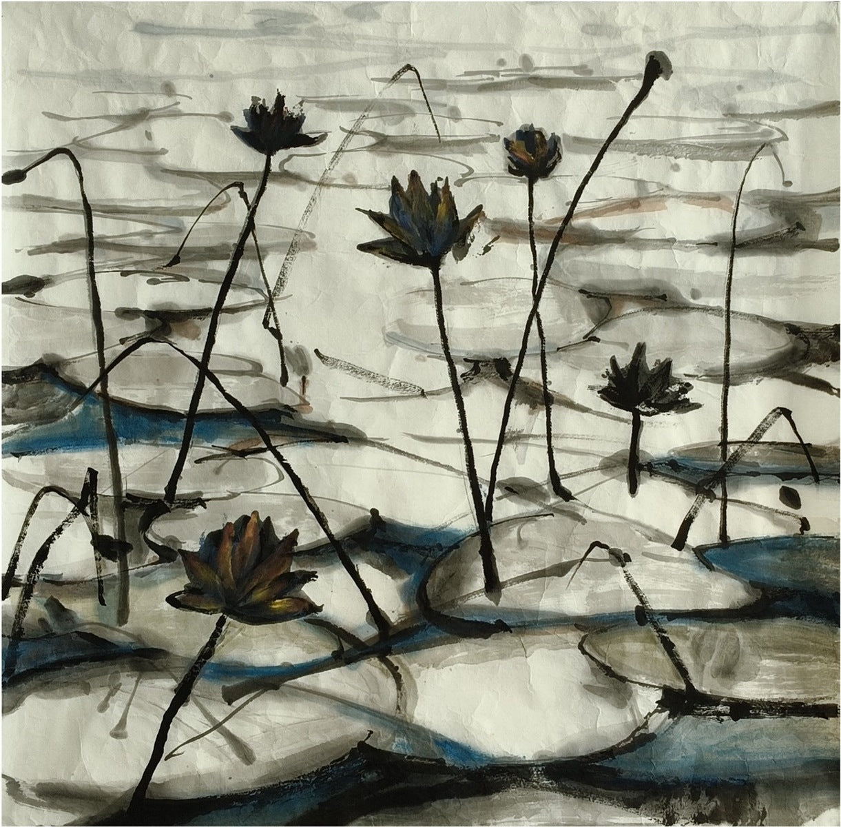 The Water Lily Dreams