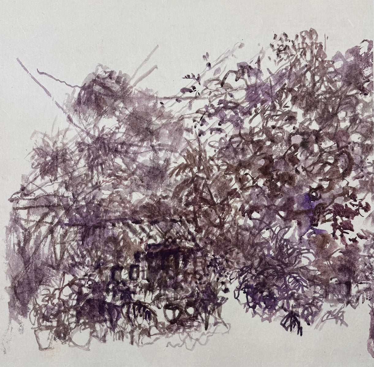 A Tangle of Whispers and Wild Growth