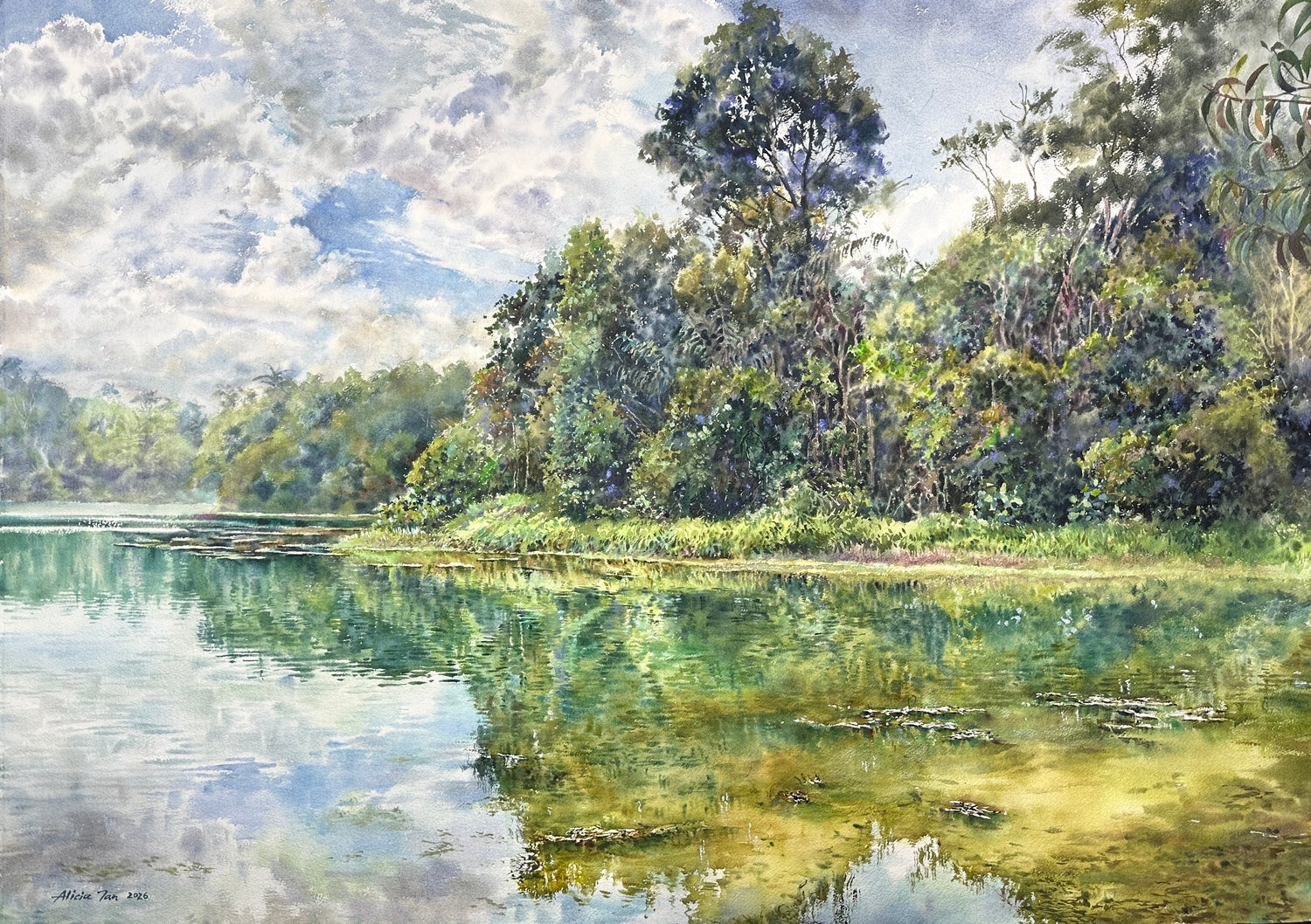 Serenity No.12