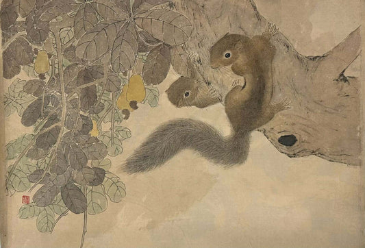 Play Time 翠尾轻灵