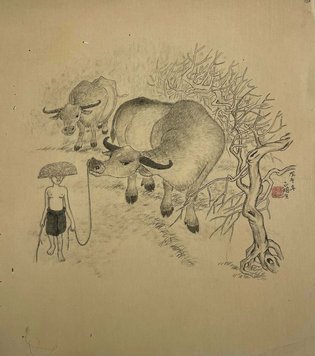 Water Buffalo 牽牛