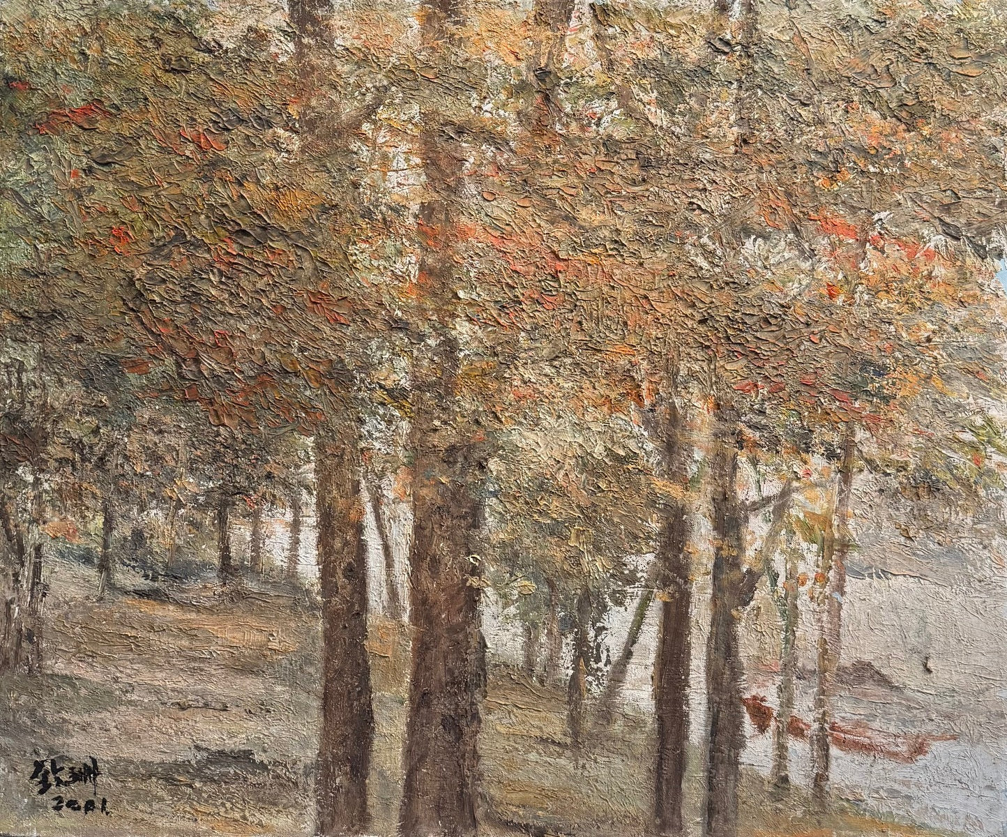 Rhythm of the woods