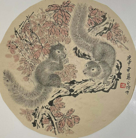 Squirrel II 花尾狸