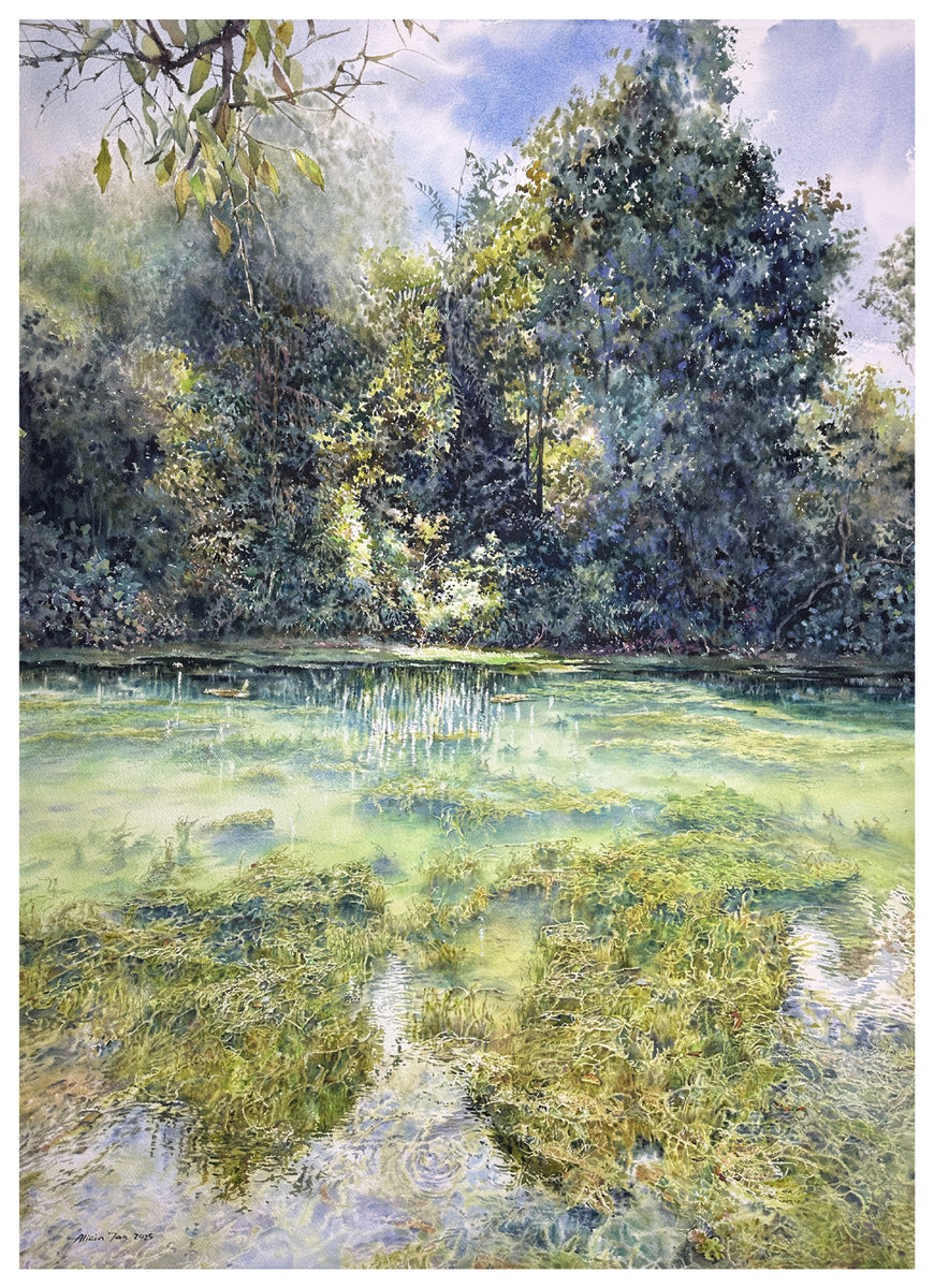 Serenity #11