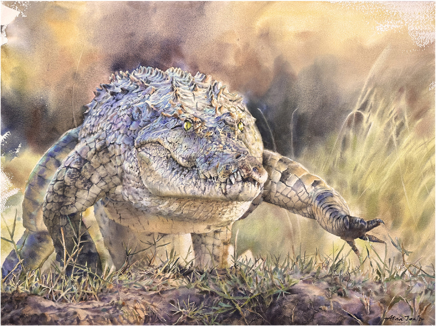 Let's Go for a Swim!