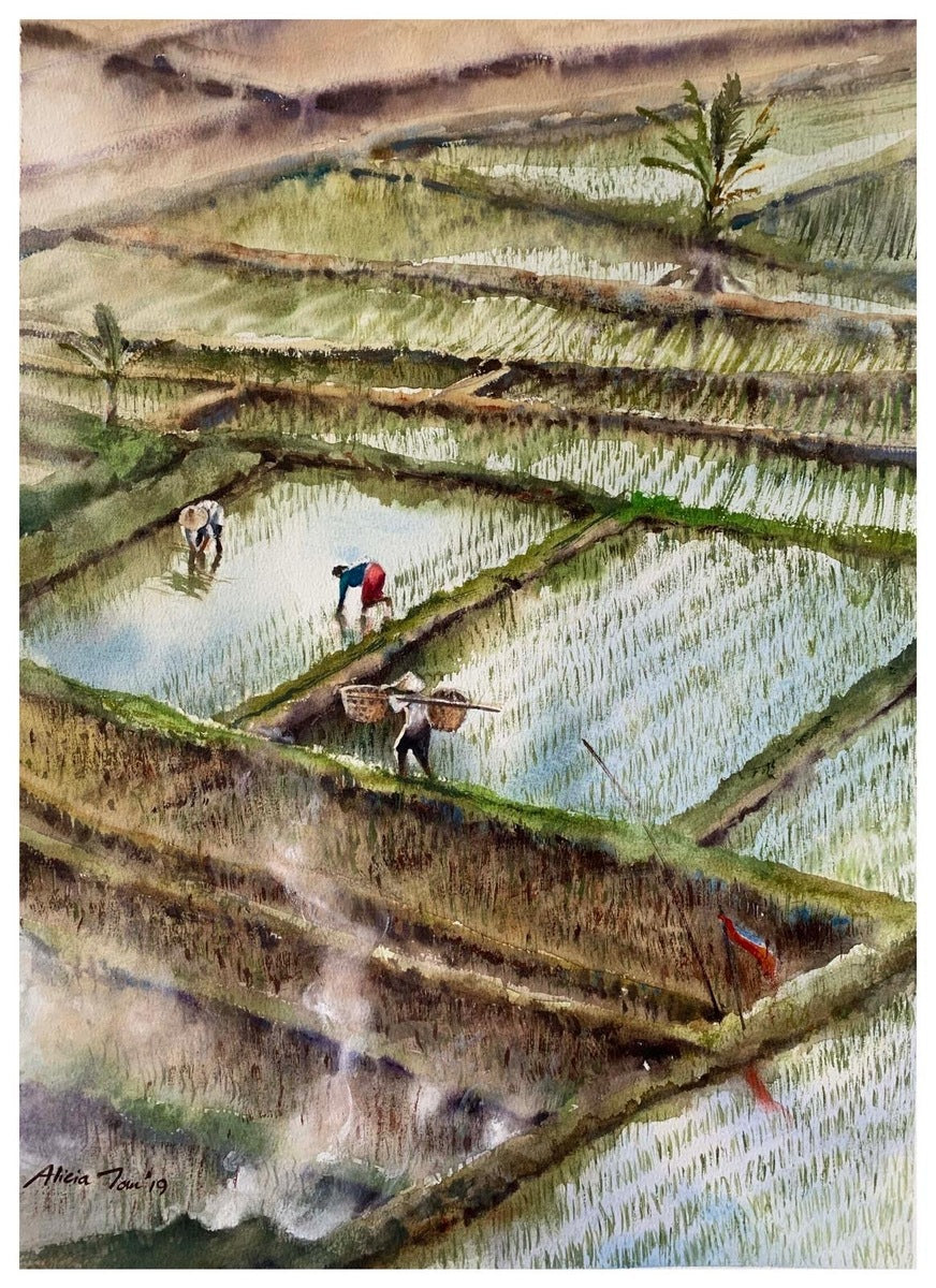 Farmers, Bali