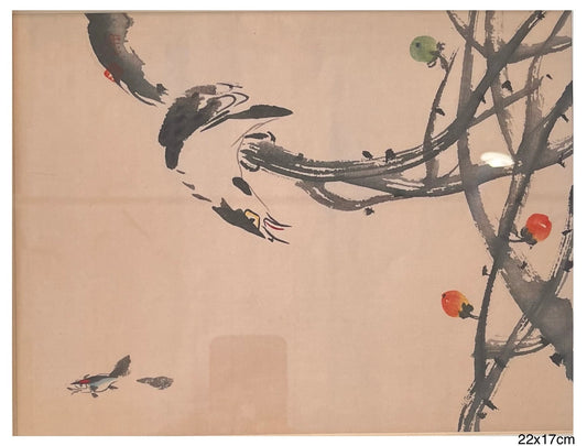 Little Creature 小精灵 14
