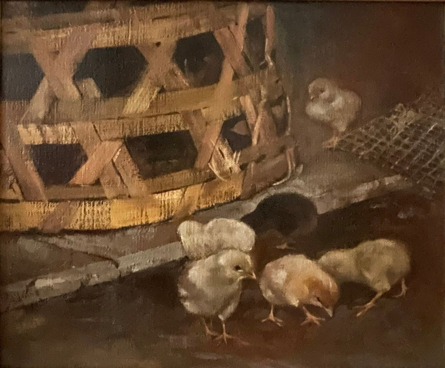 Chicks