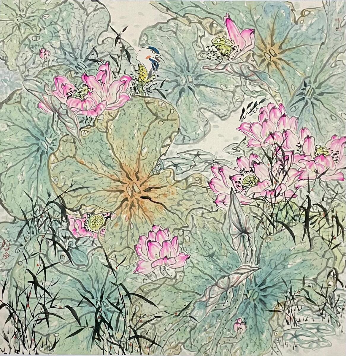 Lotus: A Pond of Quiet Joy 荷花：一塘清欢