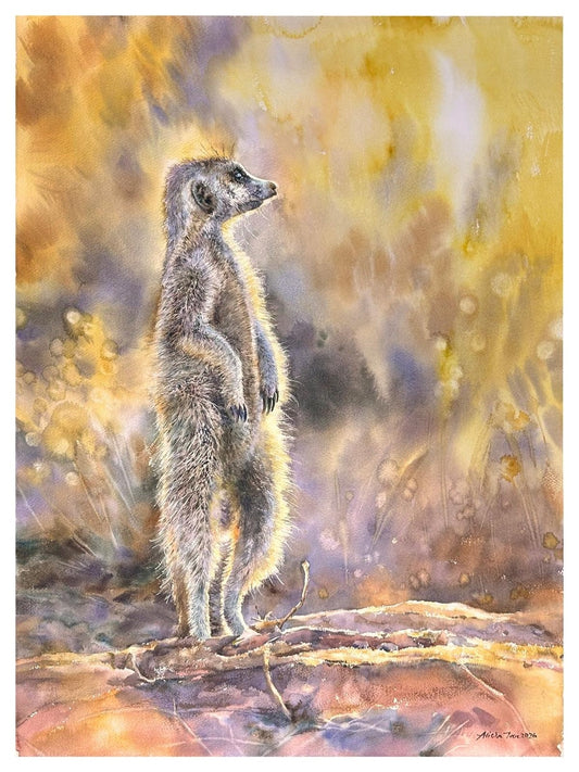 Watcher of the dawn