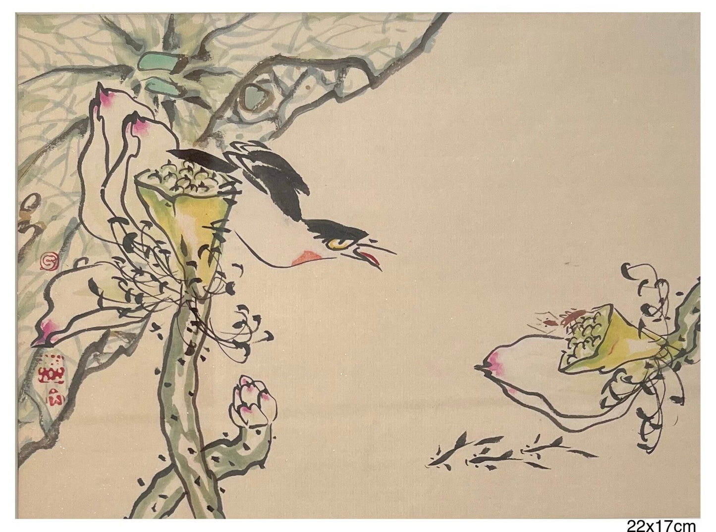 Little Creature 小精灵 13