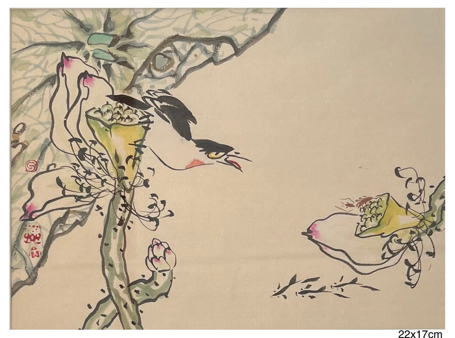 Little Creature 小精灵 13