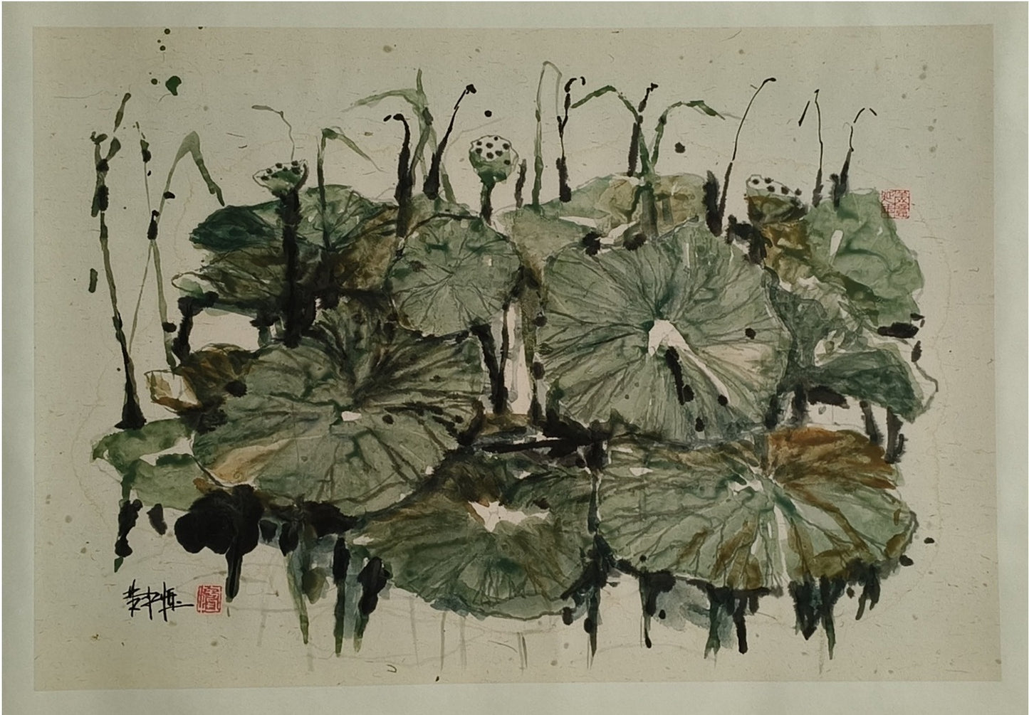 Lotus Sensation Series 6