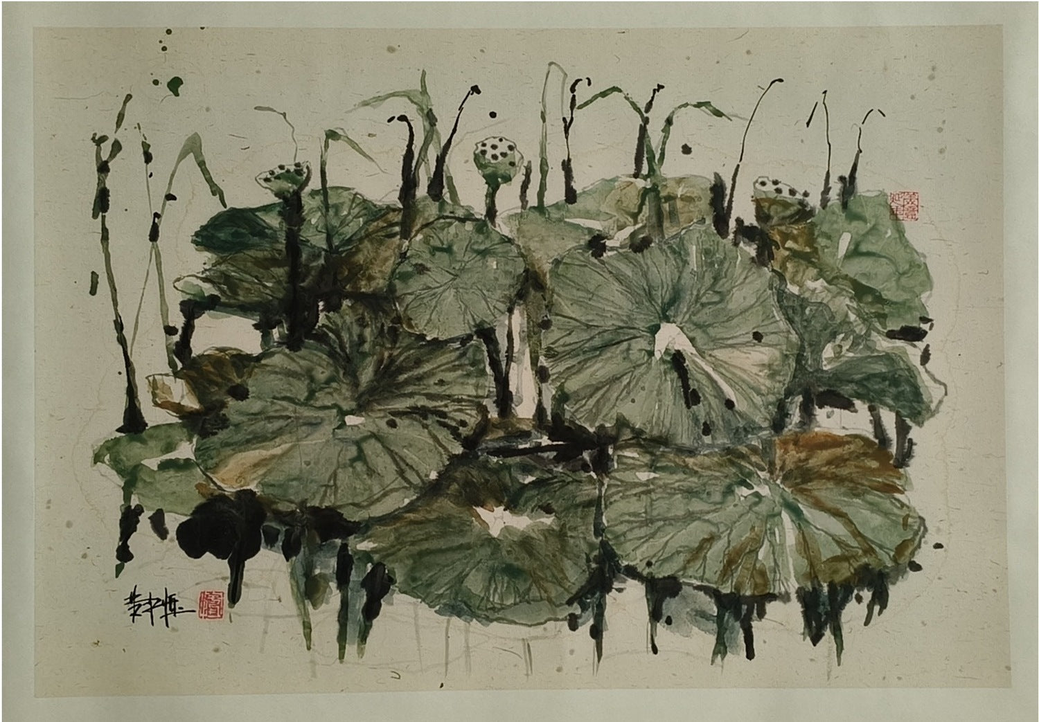 Lotus Sensation Series 6