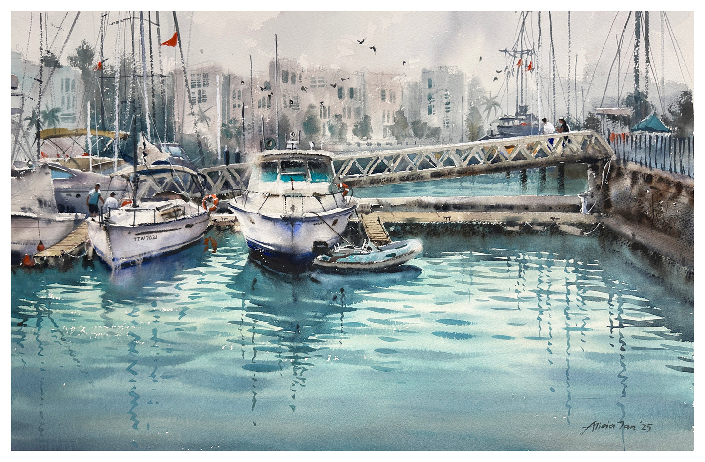 Yachts at Marina Keppel Bay