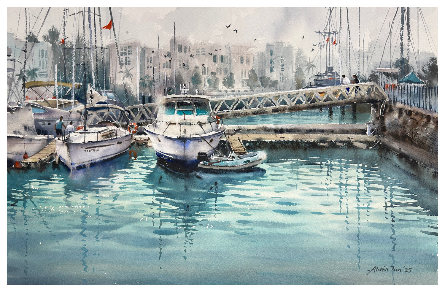 Yachts at Marina Keppel Bay