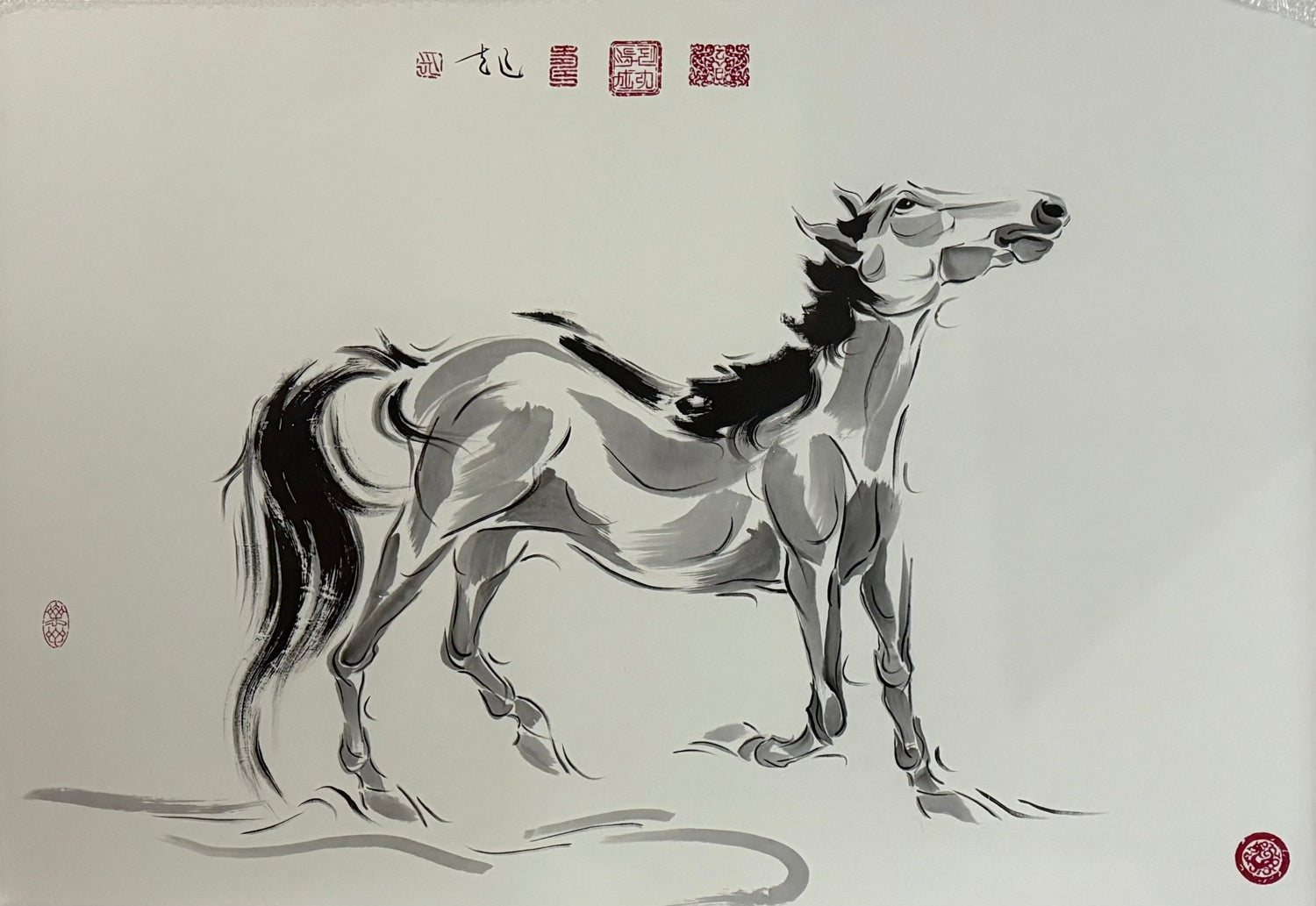 马到成功 (May you achieve your goal!)