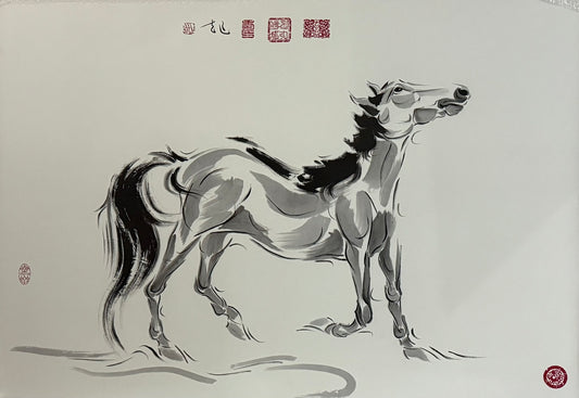 马到成功 (May you achieve your goal!)