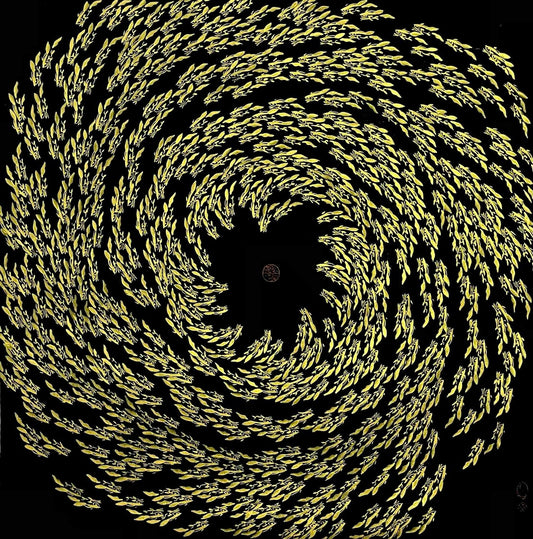 Gold Spiral ToTo 金魚滿堂 多多